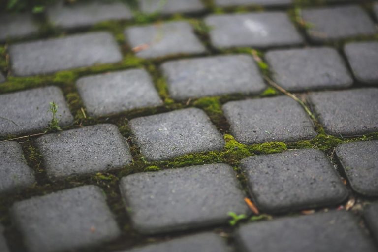 Jaką kostkę wybrać na taras, a jaką na ścieżkę ogrodową?